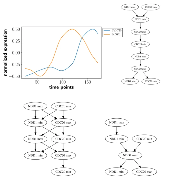 Two gene-expression time series and their Hasse diagrams at different uncertainty levels